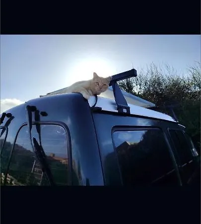 营地 Classical Campervan To Rent For Over 25 Years