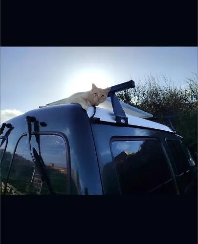 Kemp Classical Campervan To Rent For Over 25 Years