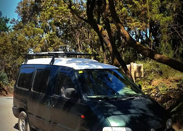 Classical Campervan To Rent For Over 25 Years Kemp Santa Cruz de Tenerife